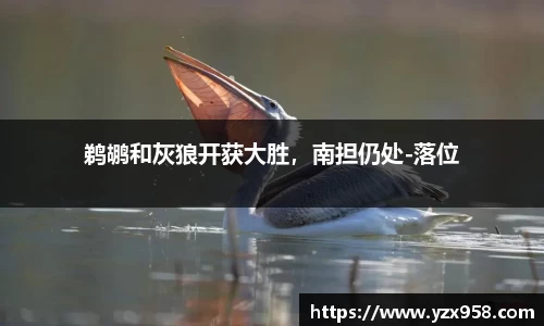 鹈鹕和灰狼开获大胜，南担仍处-落位