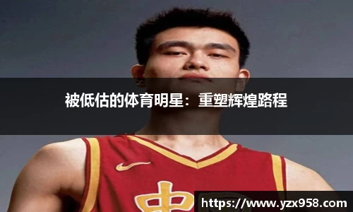 星空综合·(中国)官方网站
